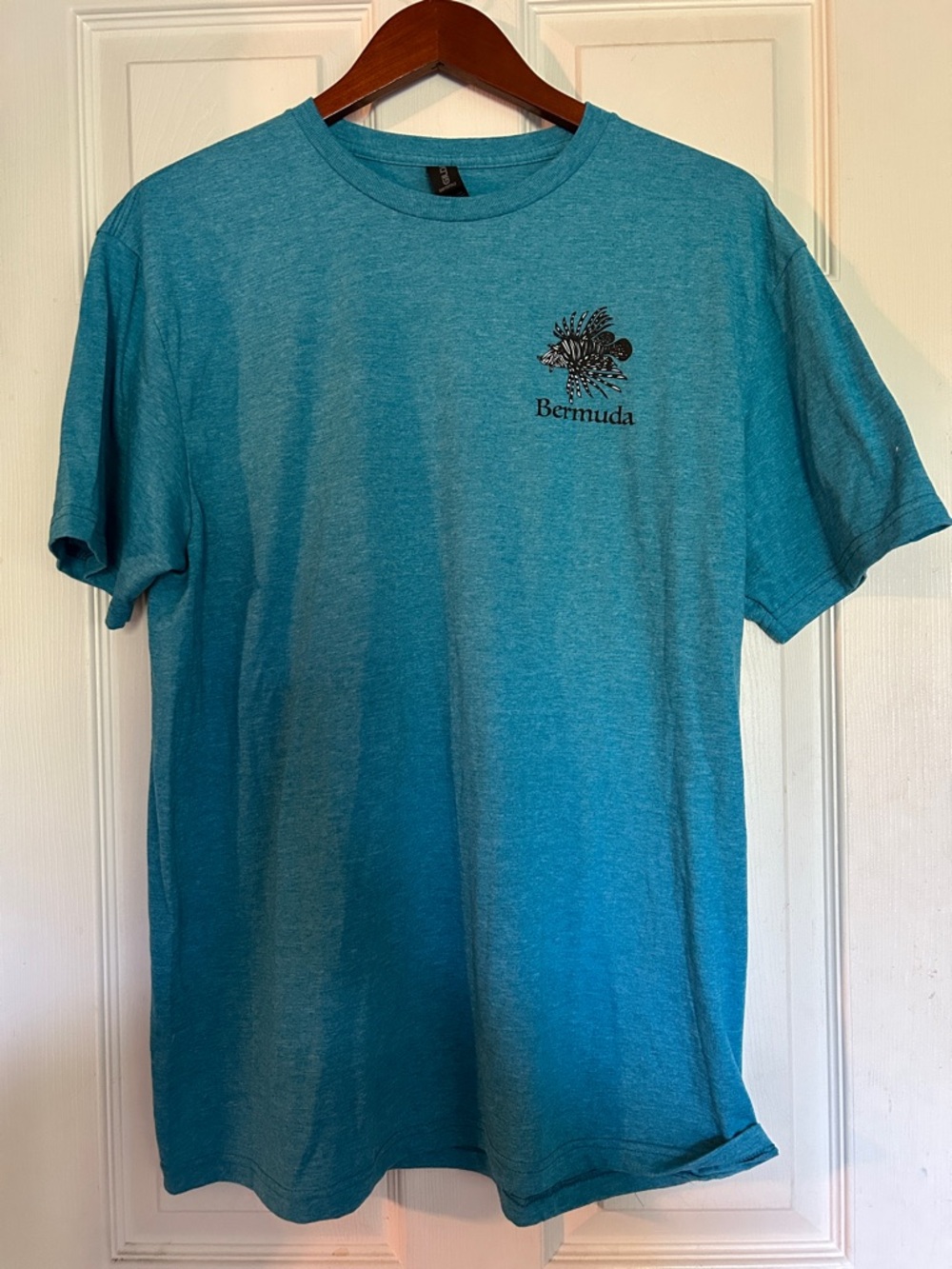 Teal Short-Sleeve Unisex T-Shirt